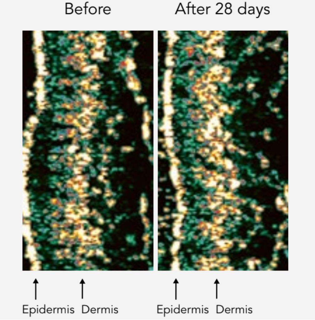 DNA-42 Clinicalift Serum™